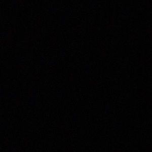 Meet your Posher, Genevieve